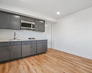 219 E 87th Street - Photo Thumbnail 18