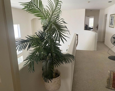 4534 Da Vinci St - Photo Thumbnail 6