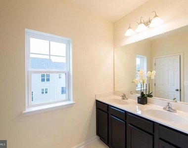 206 Apsley Terrace - Photo Thumbnail 20