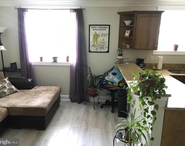 1219 Oronoco Street - Photo Thumbnail 8