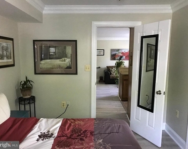 1219 Oronoco Street - Photo Thumbnail 18