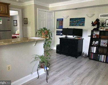 1219 Oronoco Street - Photo Thumbnail 5