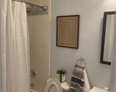 213 Marshall Road - Photo Thumbnail 15