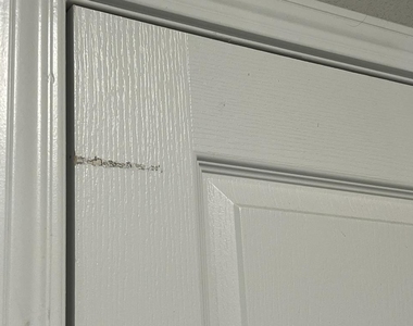 2428 Nolan Creek St - Photo Thumbnail 20