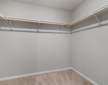 493 Apache Plum Dr - Photo Thumbnail 16