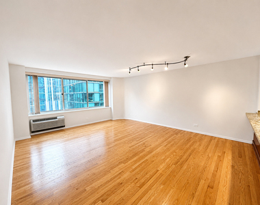 211 E Ohio Street - Photo Thumbnail 5