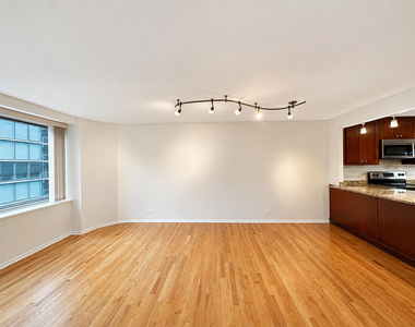 211 E Ohio Street - Photo Thumbnail 4