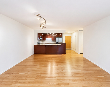 211 E Ohio Street - Photo Thumbnail 3