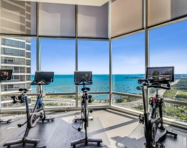 340 E Randolph Street - Photo Thumbnail 44