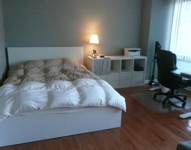 211 E Ohio Street - Photo Thumbnail 4