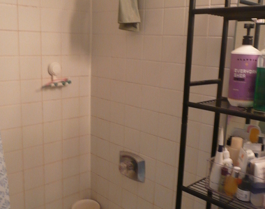 211 E Ohio Street - Photo Thumbnail 9
