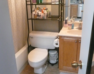 211 E Ohio Street - Photo Thumbnail 8