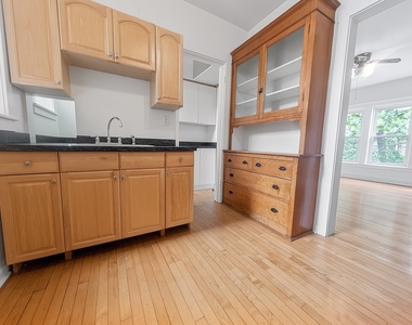 1302 W Rosemont Avenue - Photo Thumbnail 27