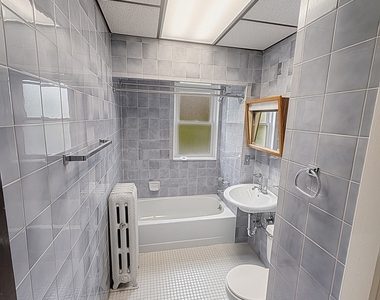 1302 W Rosemont Avenue - Photo Thumbnail 17