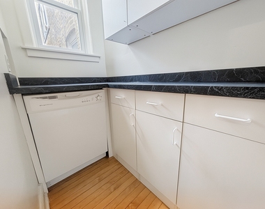 1302 W Rosemont Avenue - Photo Thumbnail 26