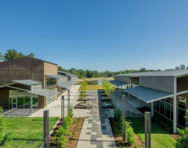 15702 Saffron Summer Street - Photo Thumbnail 1