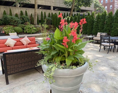 875 Elm - Photo Thumbnail 35
