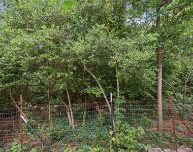 396 Westchase - Photo Thumbnail 21
