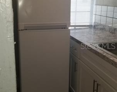 317 E Tarpon Avenue - Photo Thumbnail 11