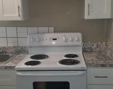 317 E Tarpon Avenue - Photo Thumbnail 8