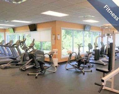 1510 Morning Rose Place - Photo Thumbnail 44