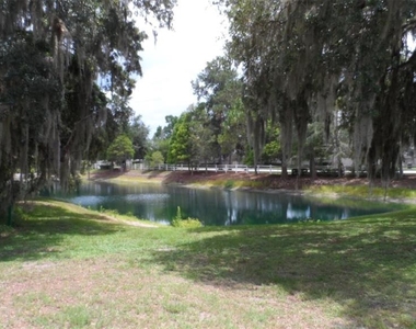 30709 Lanesborough Circle - Photo Thumbnail 24