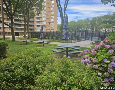 100 York Street - Photo Thumbnail 31