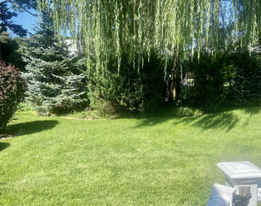 7 Basset Drive - Photo Thumbnail 18