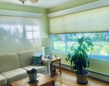 7 Basset Drive - Photo Thumbnail 8