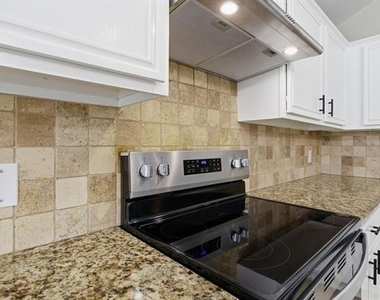 1006 Lake Dallas Drive - Photo Thumbnail 29