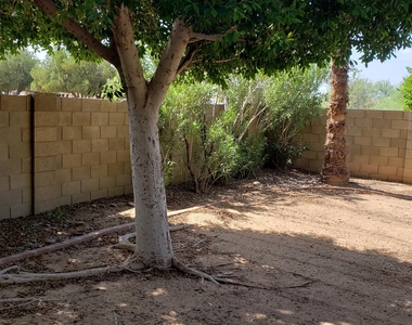 16402 N 39th Place - Photo Thumbnail 25
