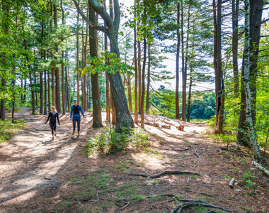 333 Ricciuti Dr. - Photo Thumbnail 36