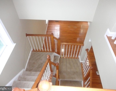 24753 Carbonate Terrace - Photo Thumbnail 20