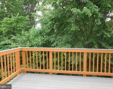 24753 Carbonate Terrace - Photo Thumbnail 38