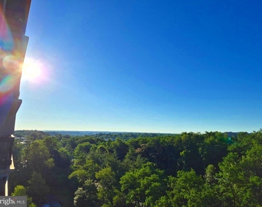 3705 S George Mason Drive - Photo Thumbnail 18