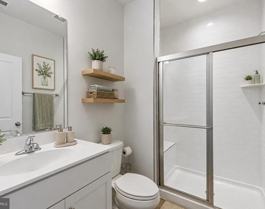 283 Willis Street - Photo Thumbnail 36