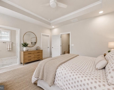 283 Willis Street - Photo Thumbnail 27