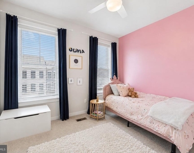 283 Willis Street - Photo Thumbnail 21