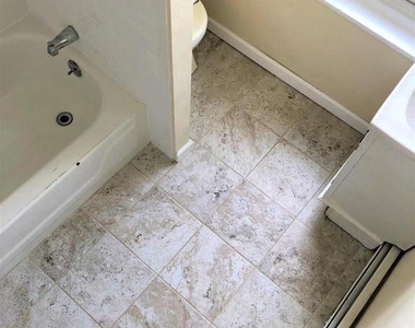 247 Green Lane - Photo Thumbnail 11
