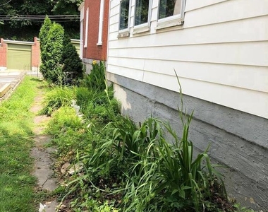 247 Green Lane - Photo Thumbnail 17