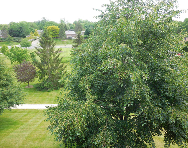 2116 Pauline Boulevard - Photo Thumbnail 9