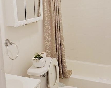 2402 Spruce Street - Photo Thumbnail 4