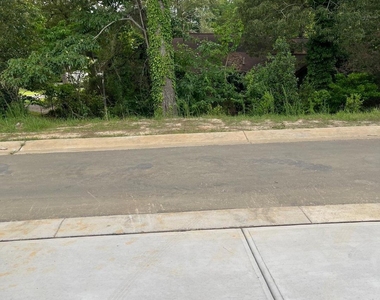 415 Ribbon Rail Street - Photo Thumbnail 26