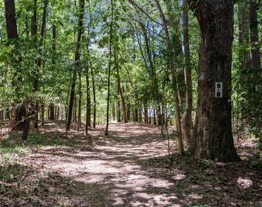 1547 Fountain Ridge Road - Photo Thumbnail 20