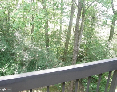 23306 Walnut Hollow Court - Photo Thumbnail 6