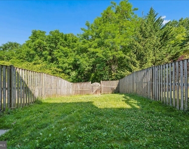 1004 Collindale Avenue - Photo Thumbnail 42