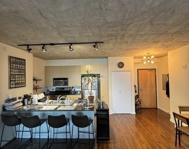 1845 S Michigan Avenue - Photo Thumbnail 3