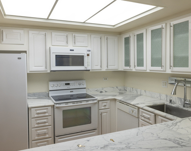 155 N Harbor Drive - Photo Thumbnail 4
