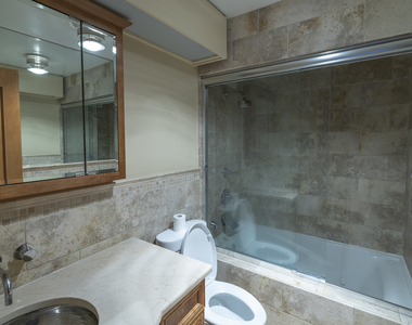 155 N Harbor Drive - Photo Thumbnail 10