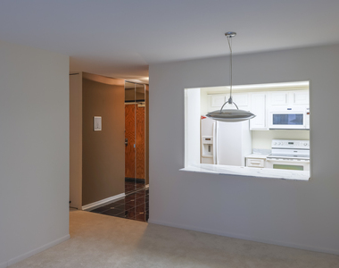 155 N Harbor Drive - Photo Thumbnail 3